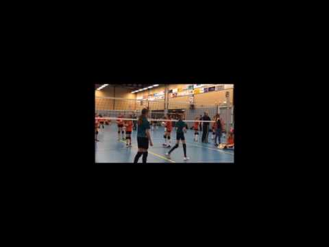 Somas Activia N5   Luctor N5