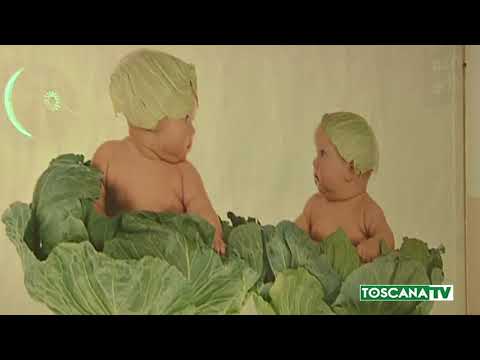 2018-07-10 PRATO - GINECOLOGI ARRESTATI, SOLO DUE RISPONDONO AL GIUDICE