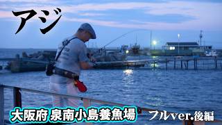 アジ・コチ