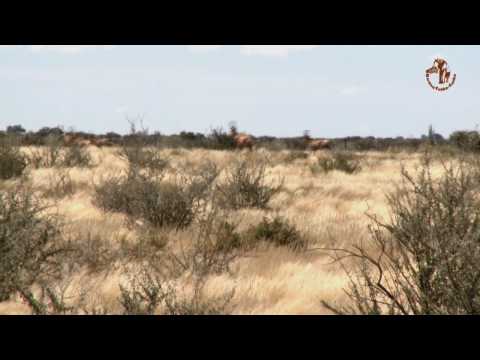 Namibia erleben / Teil 6 - Lodges zum Wohlfühlen