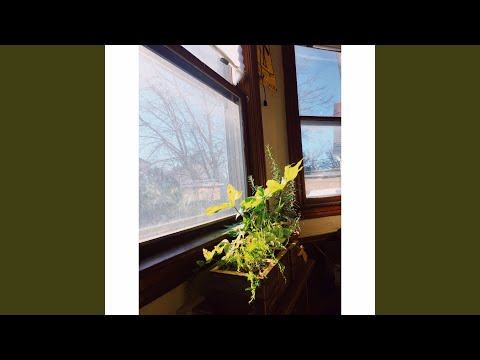 Video thumbnail for ​dreaming