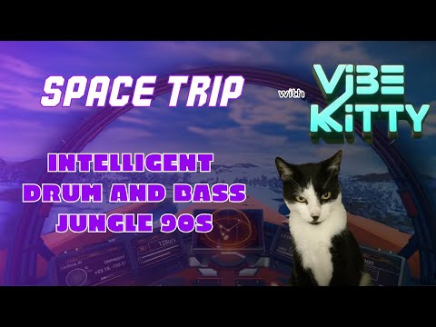 SPACE TRIP INTELLIGENT DRUM AND BASS/JUNGLE 90S VIBE