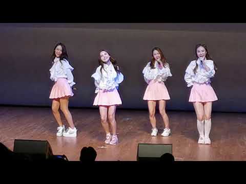 中西區文藝晚會 - B.Gs《我們的小宇宙》@香港大會堂 (14/8/2019)