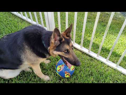 TCL 20 Pro 5G | 4K30fps | Video Sample