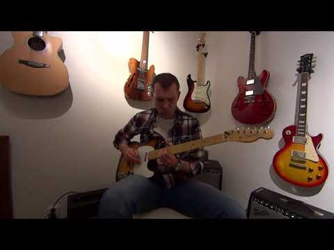 EP212 - Tony Joe White Rhythm & Lead Style - Patrick van Rijn