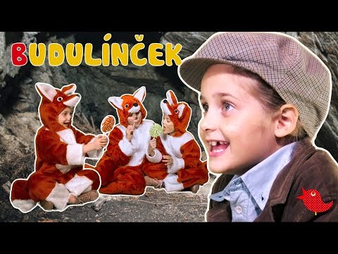 Rozprávka o Budulínčekovi - Rozprávky Líšky a Vlka