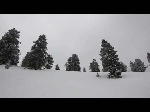 Patriot Boost Sneak Peak!