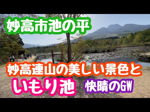 2023年5月4日 妙高池の平 いもり池に行ってみました！妙高連山と水芭蕉 新潟県妙高市