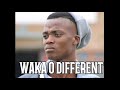 WAKA O DIFFERENT NEW HIT_BY KING MONADA