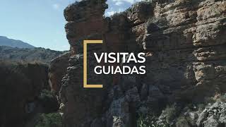 Video del alojamiento Cuevas El Torriblanco