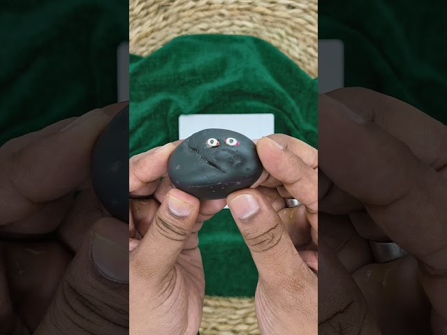 Garuda Vishnu Shaligram Shila video