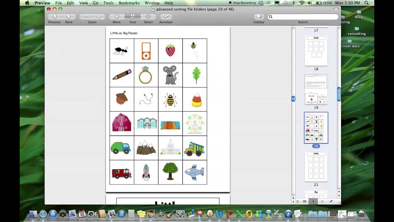 Product Preview  - Advanced Sorting File Folders
