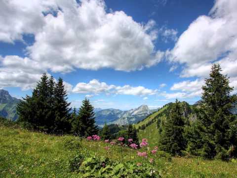 Sommerlager 2013 Trailer