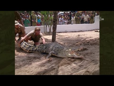 The Crocodile Hunter - Best Of Steve Irwin - S01 E02