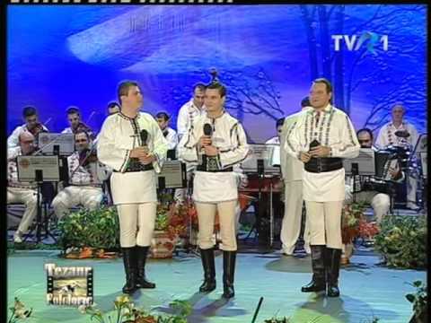 CRISTIAN FODOR – OVIDIU HOMORODEAN – OVIDIU OLARI   MOMENT IN MEMORIAM „DRĂGAN MUNTEAN”