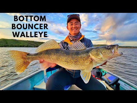 Big Walleye on Bottom Bouncer in My Newly Refurbished Small Aluminum Boat