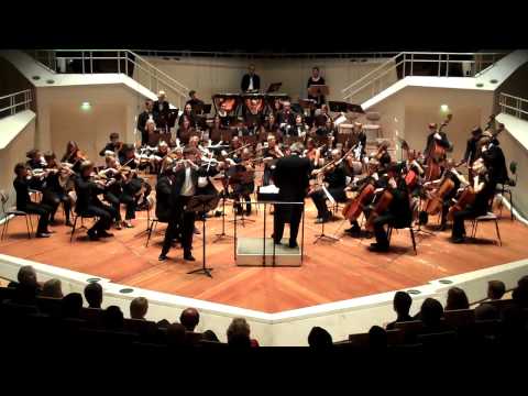 Reinecke Flötenkonzert D-Dur op.283 1.Satz