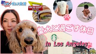 【ロサンゼルス生活】愛犬ご奉公の一日🐶✨ワンコが喜ぶIn-N-Out & スタバの裏メニューを紹介！ アメリカ生活　国際結婚