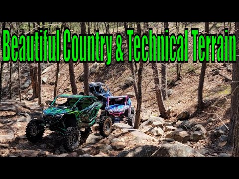 Rugged Ranch Ratinator No Poison, Multi Catch Live Animal Rat Catch and Release Cage Trap Review