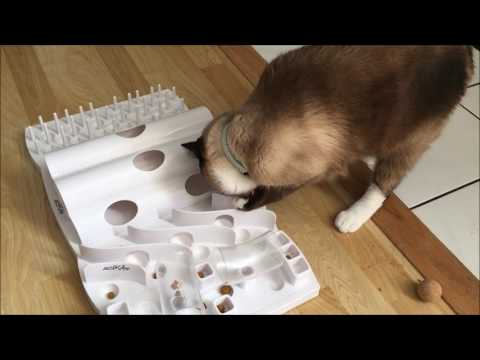 Domino Foraging Board by Trixie Pet