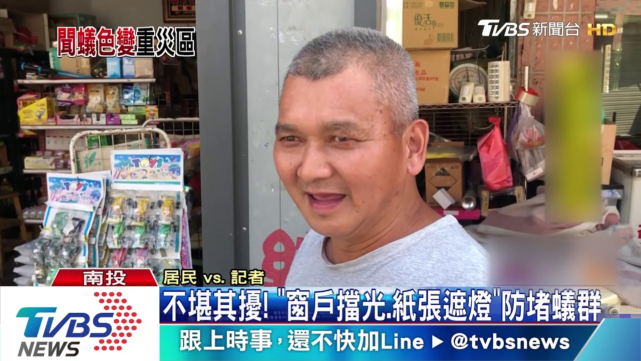不堪其擾!「窗戶擋光、紙張遮燈」防堵蟻群