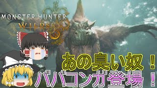 【MHWs】ぼっちハンターがいくモンハンワイルズ！【ゆっくり実況】part7