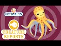 Octonauts Creature Report Octopus
