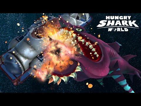 Buzz live contest | hungry shark world