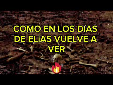 Vida A Los Huesos Secos-Bani Muñoz