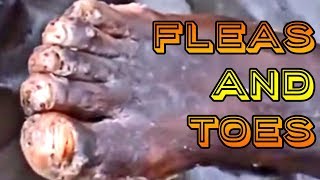 Cement the Floors - Stop the Fleas!  Volume Four