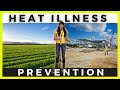 HEAT STRESS TOOLBOX TALK By Ally Safety