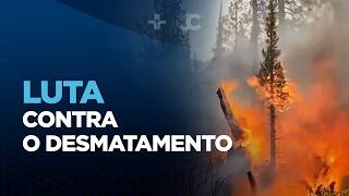Miniatura do vídeo