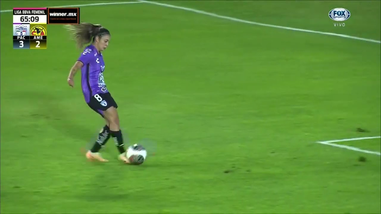 priscila chinchilla