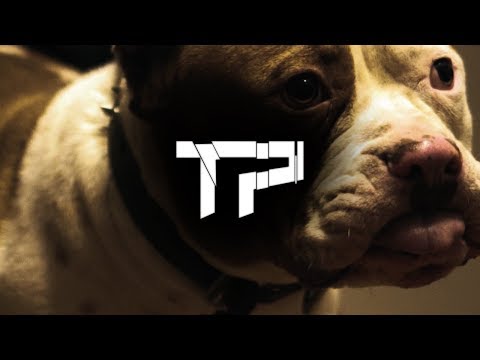 Problogang KB - Cant Trust a Soul (Official Music Video)