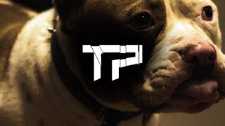 Problogang KB - Cant Trust a Soul (Official Music Video)