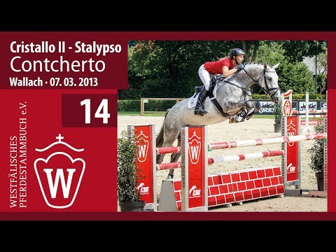 14 Contcherto Wallach v.  Cristallo II - Stalypso
