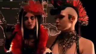 Vena Cava  Angelspit