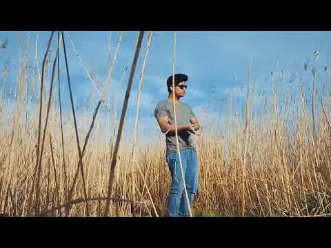 Shape of you by Ben human WhatsApp status