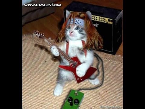 Eremite - percussion dubstep