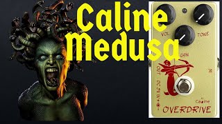Video thumbnail for Caline Medusa Overdrive by Guitar Safari
