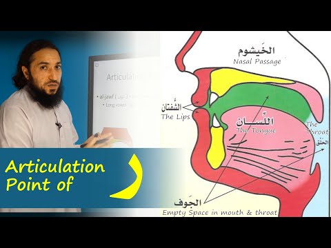 Articulation Point (Makhraj) of Raa ( ر ) | Lesson 10