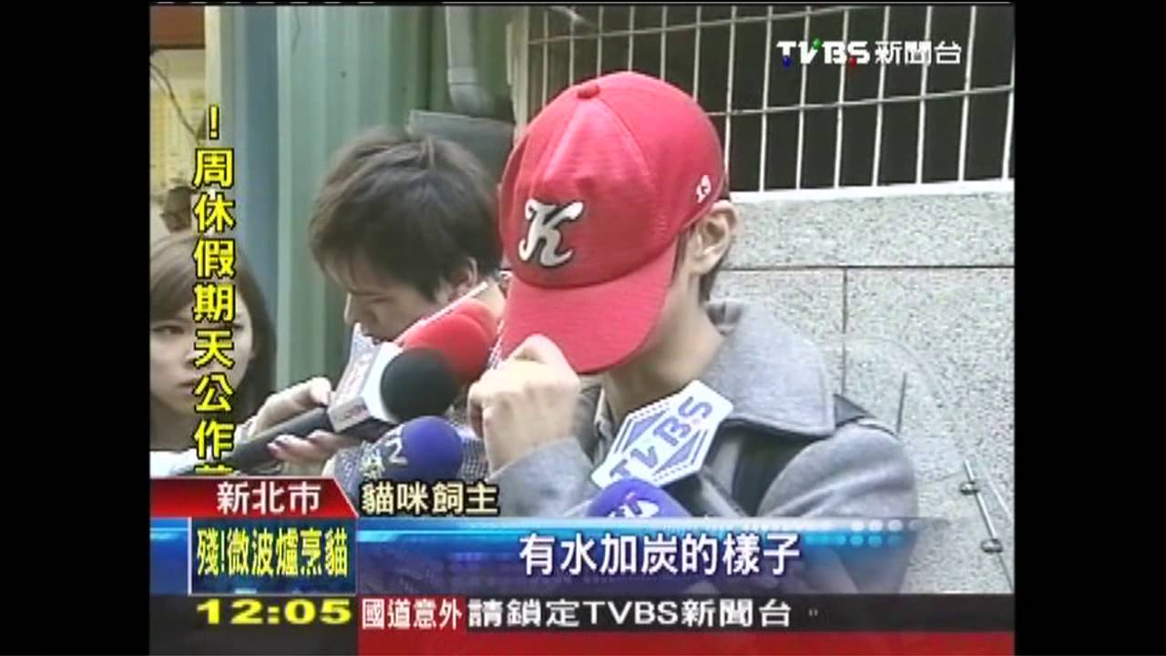 喵喵叫太吵！貓遭扔微波爐　半熟慘死