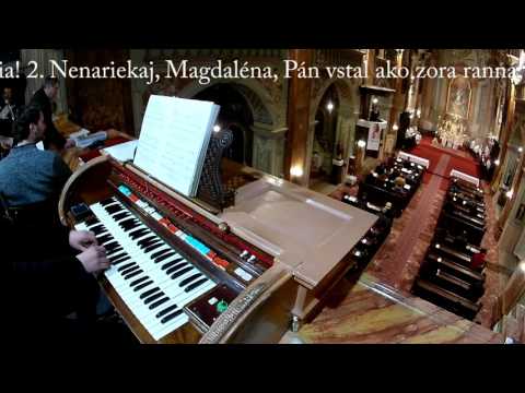 JKS 206 - Utešený nám deň (ein altes Osterlied)