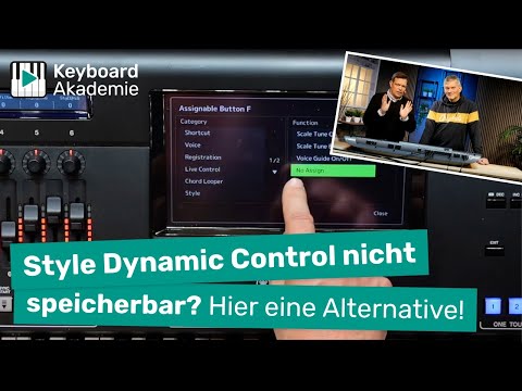 Style Dynamic Control nicht speicherbar? Hier eine Alternative!