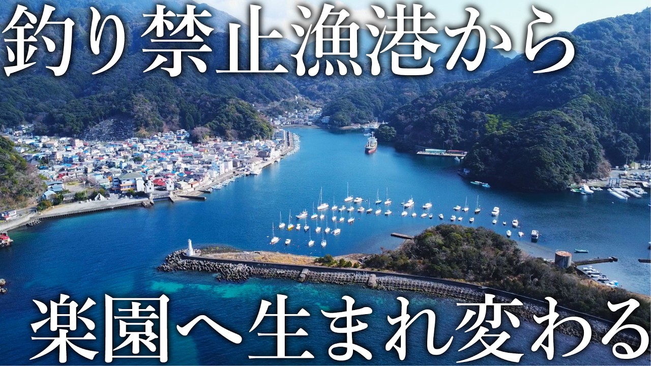 巨大な釣り禁止漁港が解放！調査すると昼間からアジや回遊魚が無限に釣れる楽園だった…
