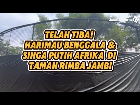 TAMAN RIMBA JAMBI TAMBAH DUA KOLEKSI SATWA