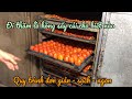 Thăm Lò Hồng Sấy Dẻo Bằng Củi Truyền Thống Quy Trình đơn Giản Sạch Ngon