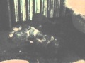 Third Day Wmv