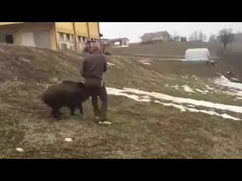 Когда твой друг очень хочет с тобой поиграть