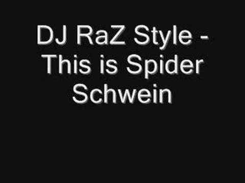DJ RaZ Style - This is Spider Schwein